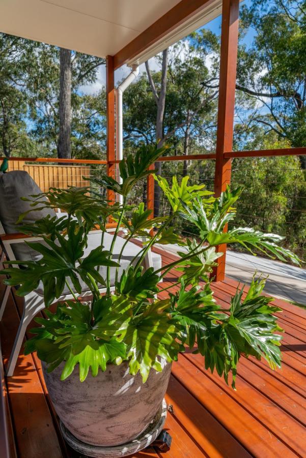 Little Mountain Retreat * Caloundra