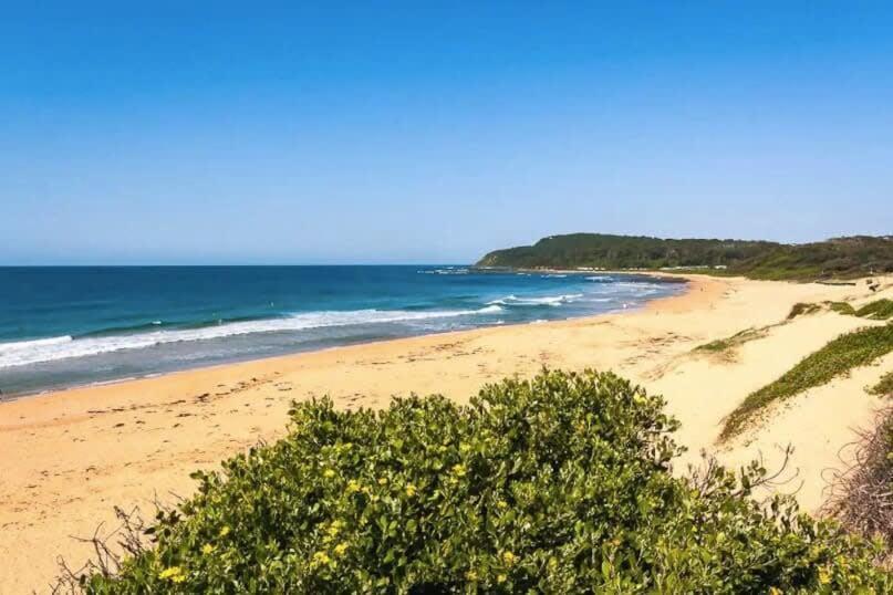Shelly Seaside B Caloundra