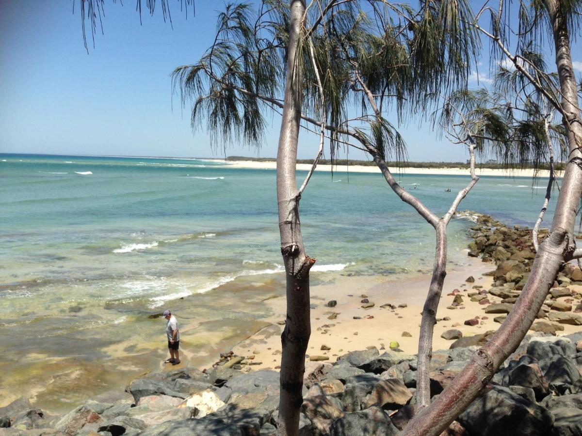 Xyl Pets Friendly Seaside Boutique Homestay Caloundra