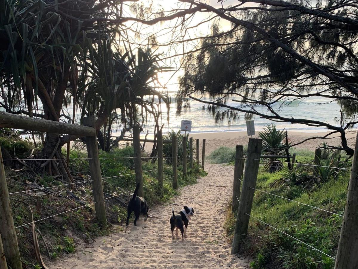 Ivy Street 7 Dicky Caloundra