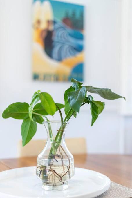Stylish 1950s Moffat Beach House Holiday home *
