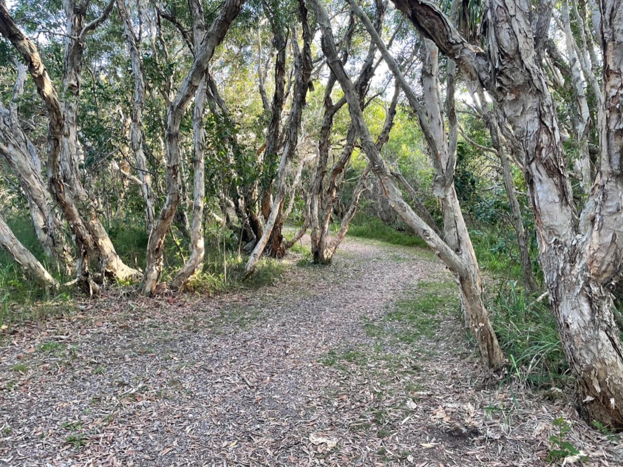 Holiday home Spacious 4-bed House Metres From Caloundra