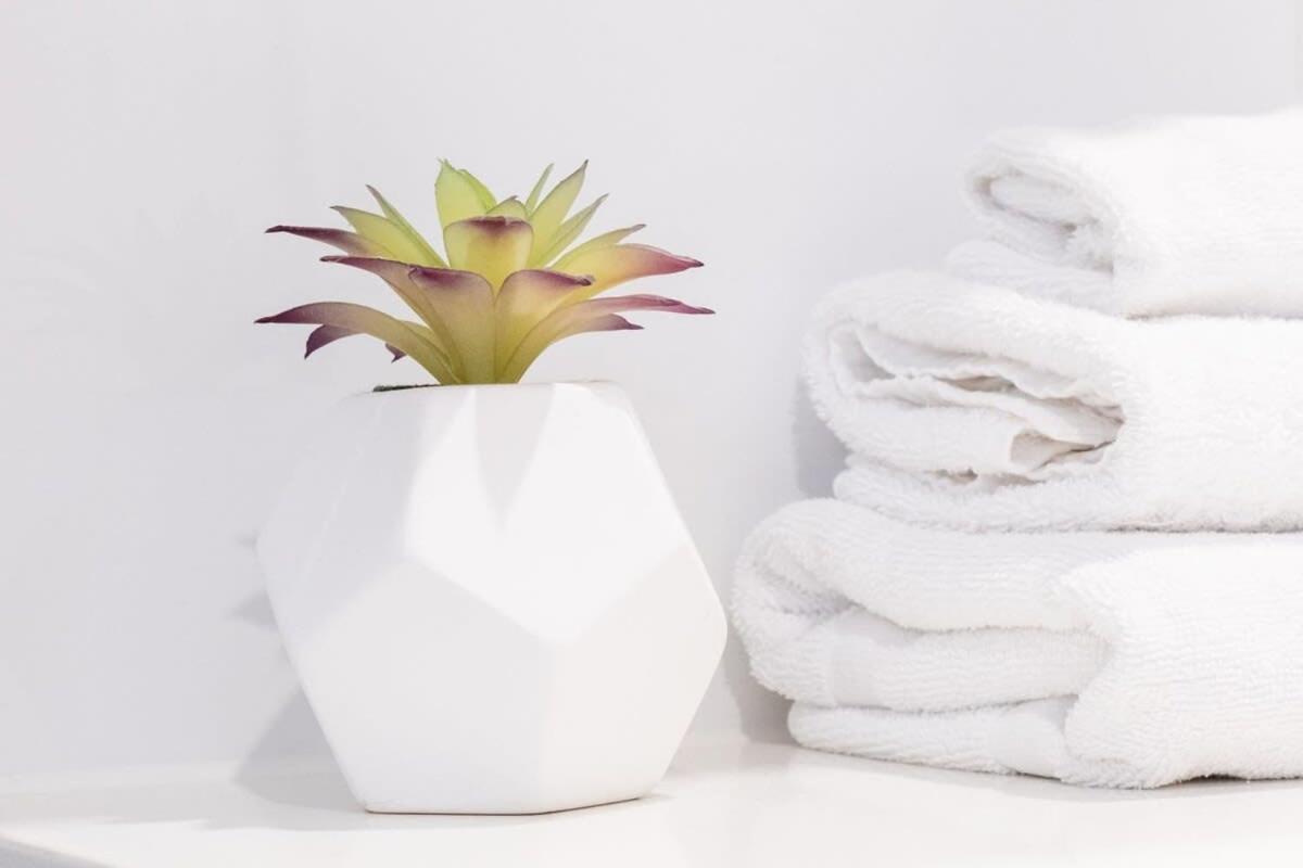 Bright Stylish Kings Caloundra