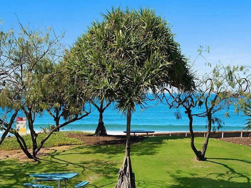 Kings Oceanfront With Pool Apartment *