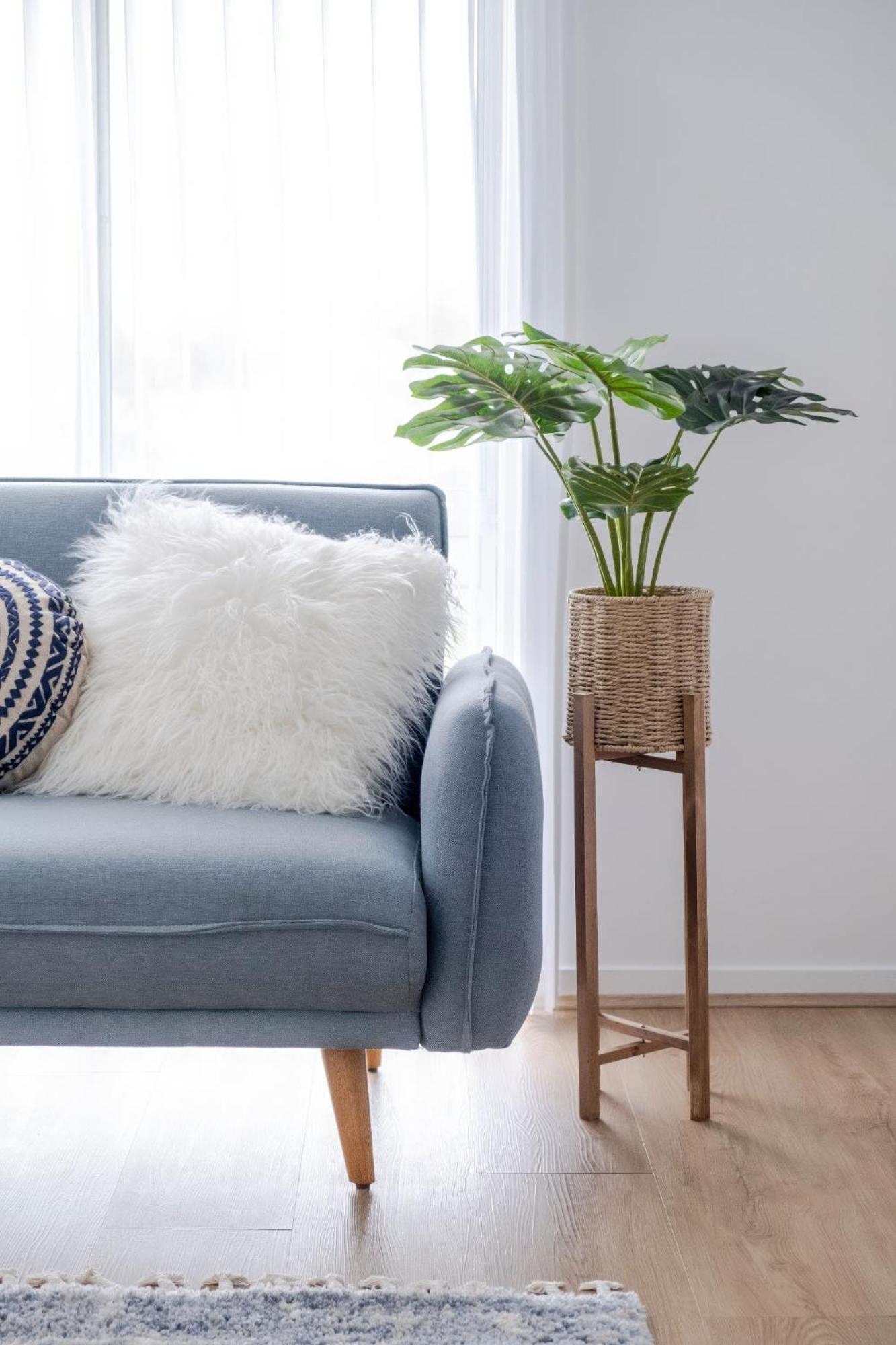 Pet Friendly Battery Hill Away From Caloundra