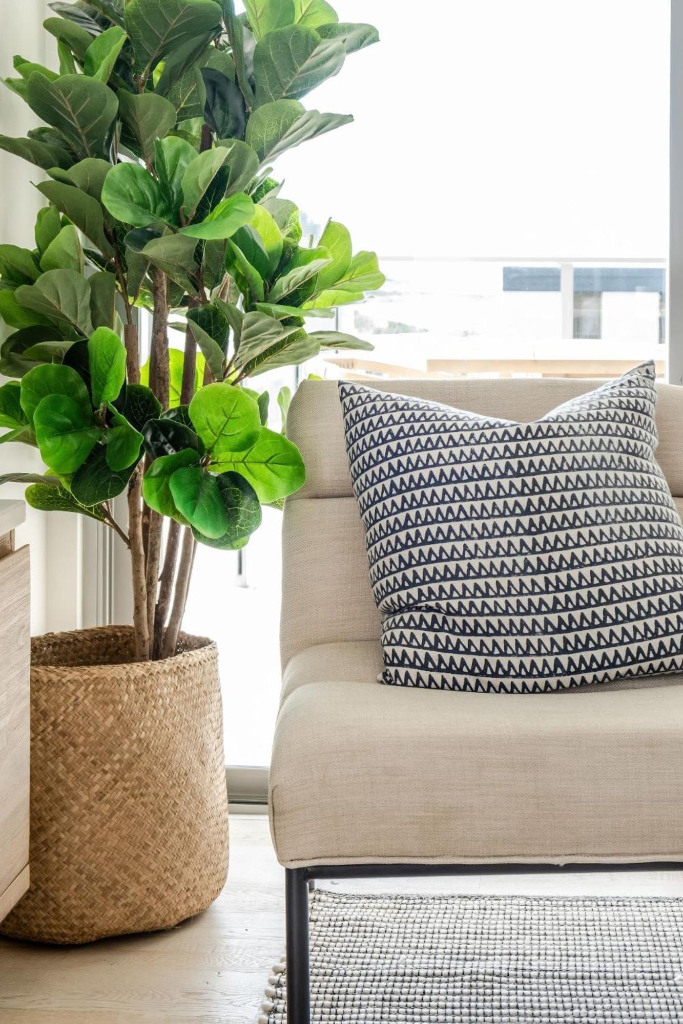 Apartment Modern Seaside Oasis In Kings Caloundra