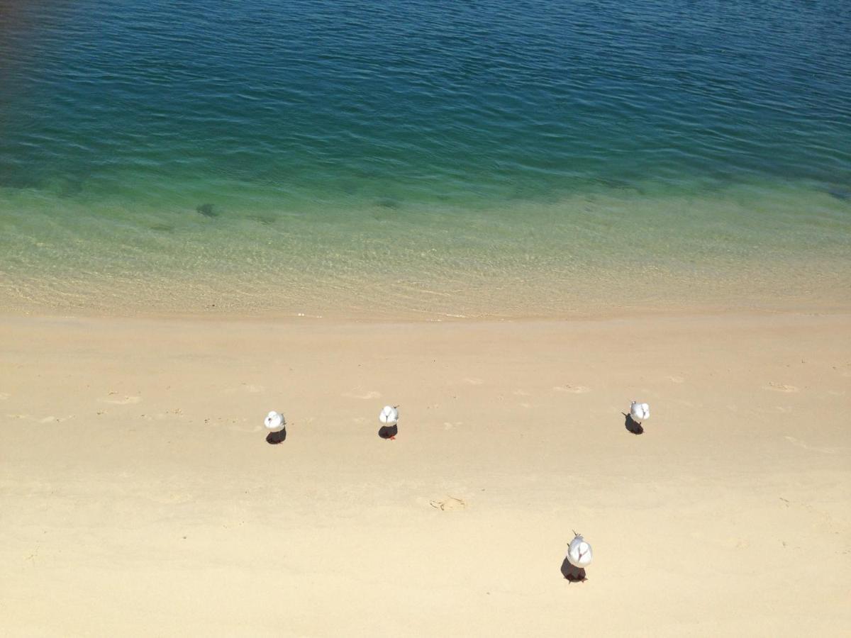Homestay Xyl Pets Friendly Seaside Boutique *