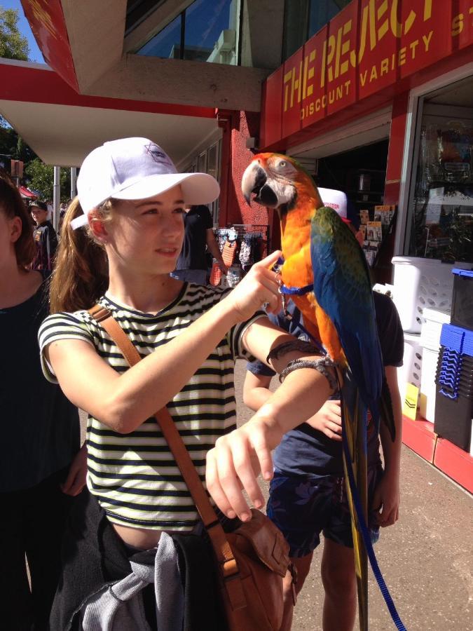Xyl Pets Friendly Seaside Boutique * Caloundra
