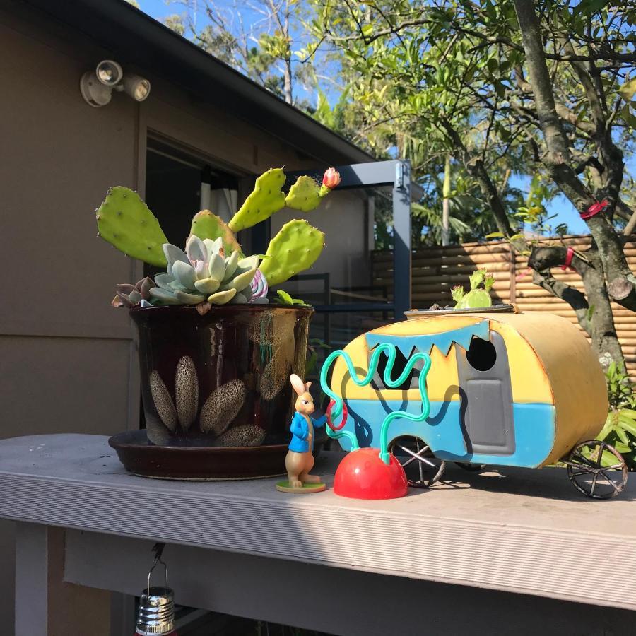 Xyl Pets Friendly Seaside Boutique
