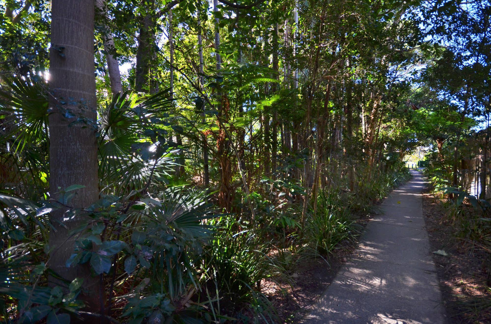 Raintrees Moffat Beach Aparthotel 3*