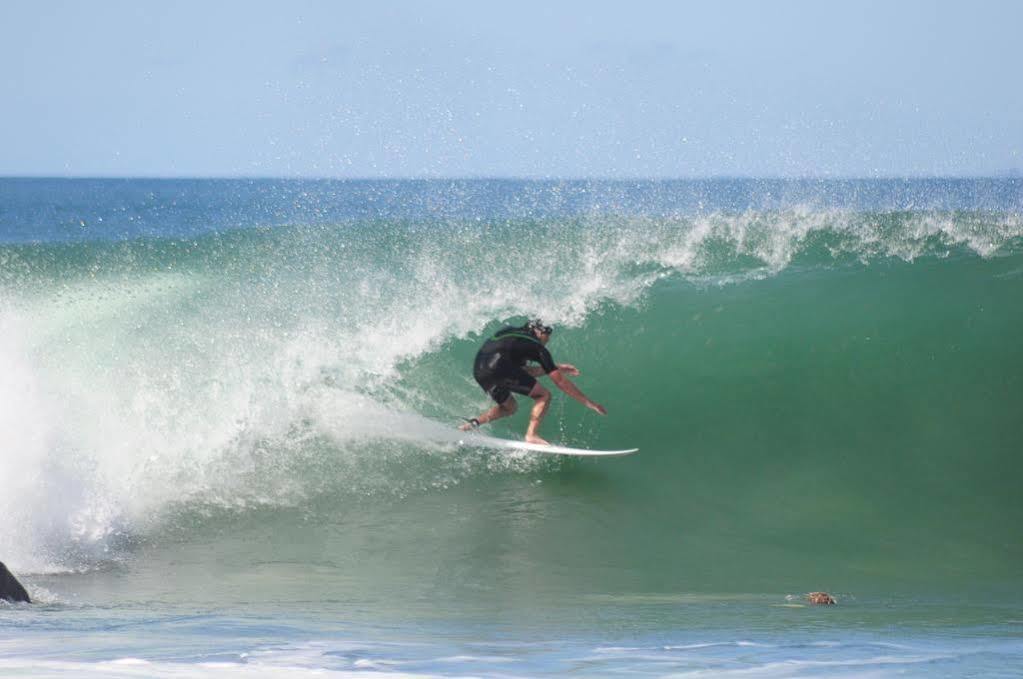 Hostel Backpackers Caloundra
